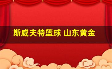 斯威夫特篮球 山东黄金